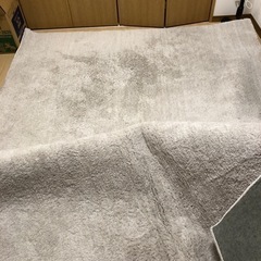 ニトリ　アクセントラグ