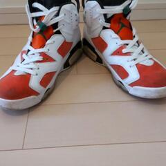 エアジョーダン6 ゲータレード　27.5cm