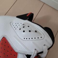 エアジョーダン6 ゲータレード　27.5cmの画像