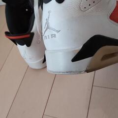 エアジョーダン6 ゲータレード　27.5cmの画像