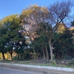 薪　薪ストーブ　キャンプ　山師募集の画像