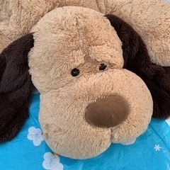 コストコいぬのぬいぐるみの画像