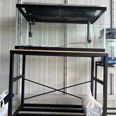 90センチ.60センチ水槽セット