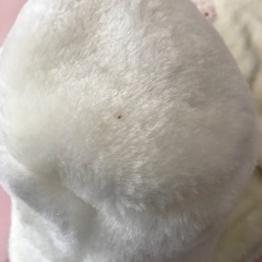 80のベストと帽子差し上げますの画像