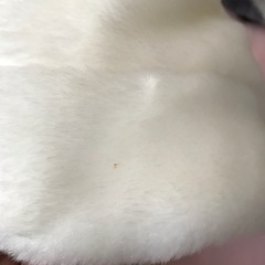 80のベストと帽子差し上げますの画像