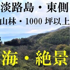 絶景！！！1000坪以上！山林！！インフラ整ってます！！早い物勝...