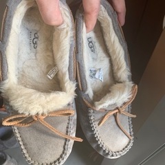 [決まりました]UGG DAKOTA 23cmの画像