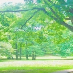 リラクゼーションセラピストの勉強会メンバー募集