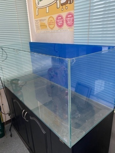 120センチ水槽セット商談中
