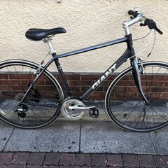 ジャイアント　エスケープＲ３　Mサイズ500ミリ