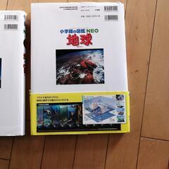 小学館の図鑑の画像