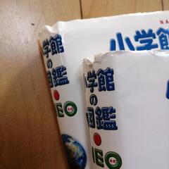 小学館の図鑑の画像