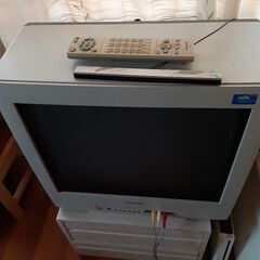 Panasonic TH~21FA50
