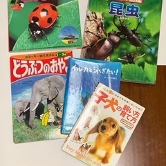 本　英会話　絵本　Reading Book 問題カード　機械　漫画