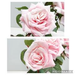■バラの置物/造花■の画像