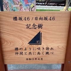 乃木坂46好きの友達募集‼️‼️⊿⁴⁶（櫻、日向も歓迎❗️） - メンバー募集