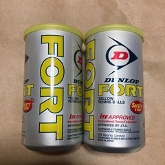 DUNLOP テニスボール2缶