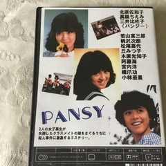 DVD 映画 夏の秘密 パンジー 北原佐和子の画像