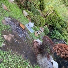 無料　庭石　いろんな種類　手運び可能石　重機必要石の画像