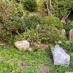 無料　庭石　いろんな種類　手運び可能石　重機必要石