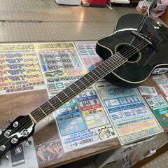Ovation Celebrity CC24SI-5 オベーショ...