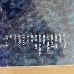 CD スピッツ　安全地帯　ハウンドドッグの画像