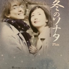 冬のソナタ　2セット