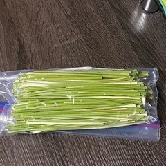 無農薬のパパイヤの茎  140ｇ