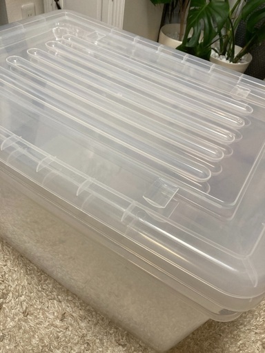 ニトリ蓋付き収納クリアボックス2点セット