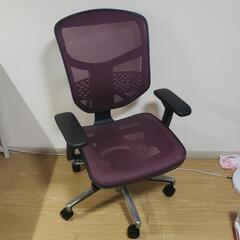 《決まりました》【美品】エルゴヒューマン　エンジョイ　Ergoh...