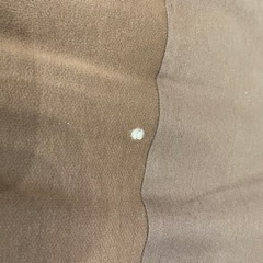 人をダメにするクッションの画像