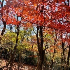 北九州、下関登山部 - スポーツ
