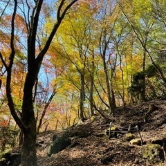 北九州、下関登山部 - 北九州市