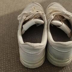 アシックス・オニツカタイガー asics Onitsuka Tiger スニーカー - スエード×化学繊維 ベージュ レディース メッシュ 靴　24.0cmの画像