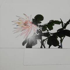 値下げ済　ランチョンマット４枚　未使用２枚　中古２枚の画像