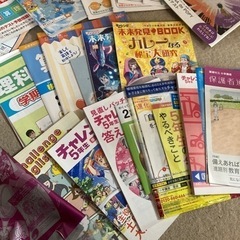 ボリュームたっぷりポピー、チャレンジ5年生の画像