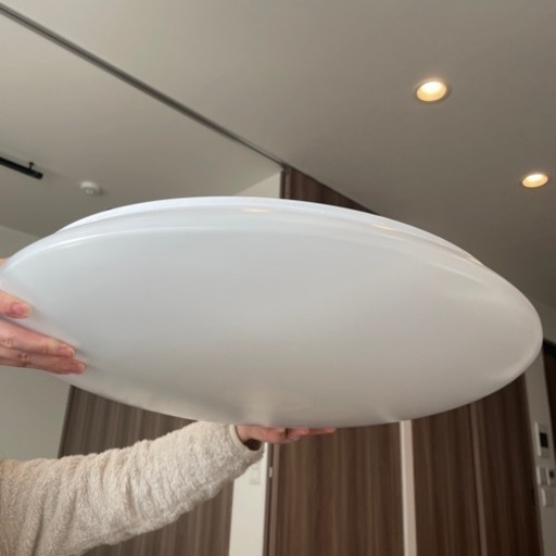 LEDシーリングライト NLEH12BK1A-DLD [12畳 /昼光色]