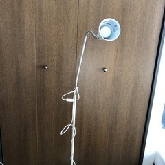 間接照明　IKEA フロアランプ