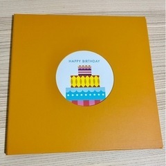 美品 スタジオアリス アルバム台紙 2冊