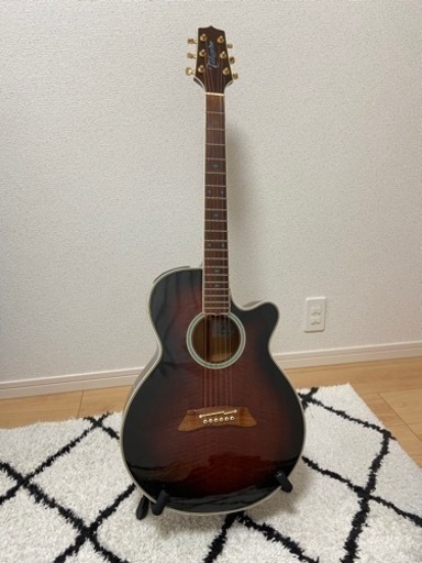 ジャンク品　タカミネ　エレアコ　NPT-110