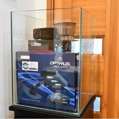 海水魚水槽セット(30×30×40cm)の画像