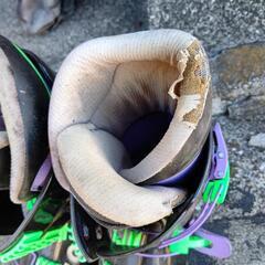 (次のゴミ出します。)スキー　ブーツ　25.5cmぐらいの画像