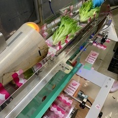 【正社員】野菜工場で働いてみませんか？😊の画像