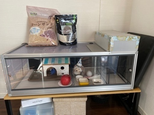 ハリネズミ、小動物、爬虫類　飼育セット 8,640円
