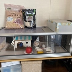 ハリネズミ、小動物、爬虫類　飼育セット