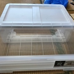 【受け渡し決まりました】衣装ケースあげますの画像