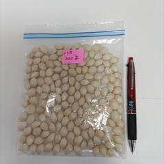 ぎんなん100㌘単位で 小分けします 茶碗蒸し 銀杏ﾊﾟﾝ 銀杏ご飯の画像