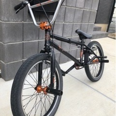 BMX WETHEPEOPLE TRUST