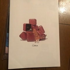 ゼクシィ2月号の画像