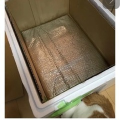 昭島市　猫ボランティア - 昭島市